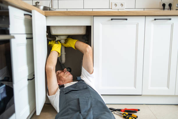 Best Clogged Drain Plumber  in Shokan, NY